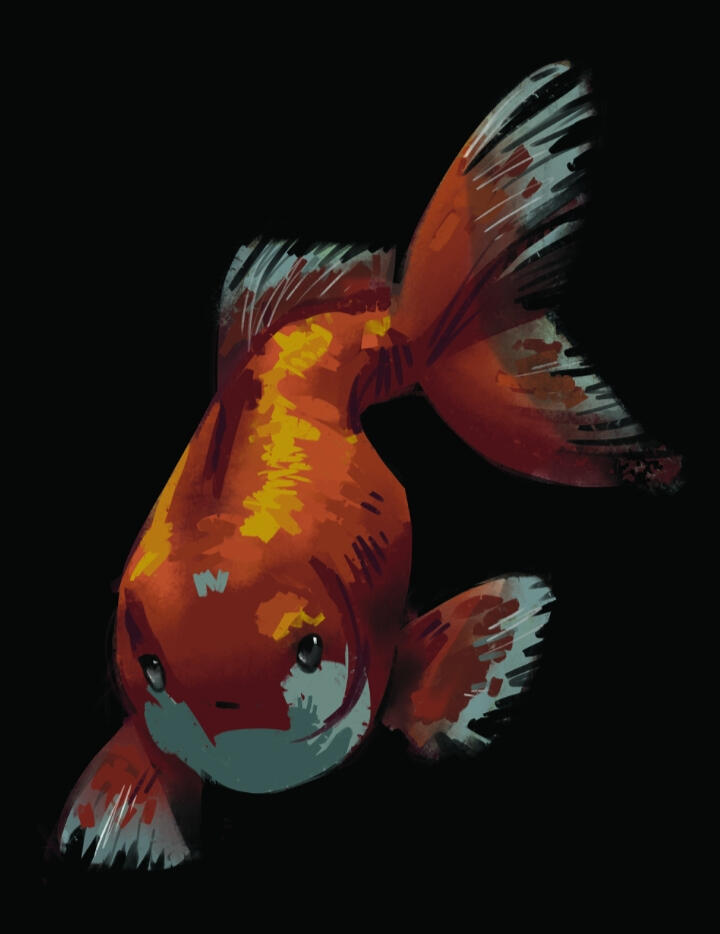 Fish study, digital (photoshop)